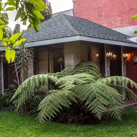 Mi Casa, Tu Casa Lejlighed Ciudad Guatemala Eksteriør billede