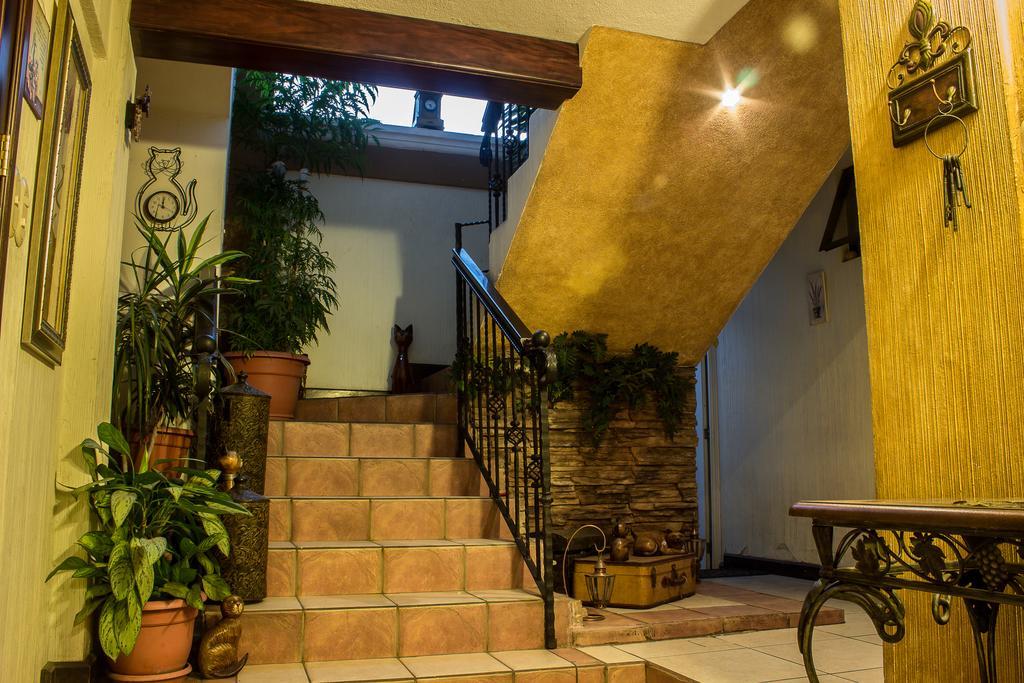 Mi Casa, Tu Casa Lejlighed Ciudad Guatemala Eksteriør billede