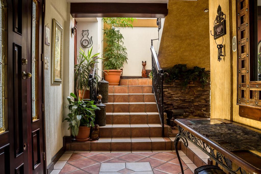 Mi Casa, Tu Casa Lejlighed Ciudad Guatemala Eksteriør billede